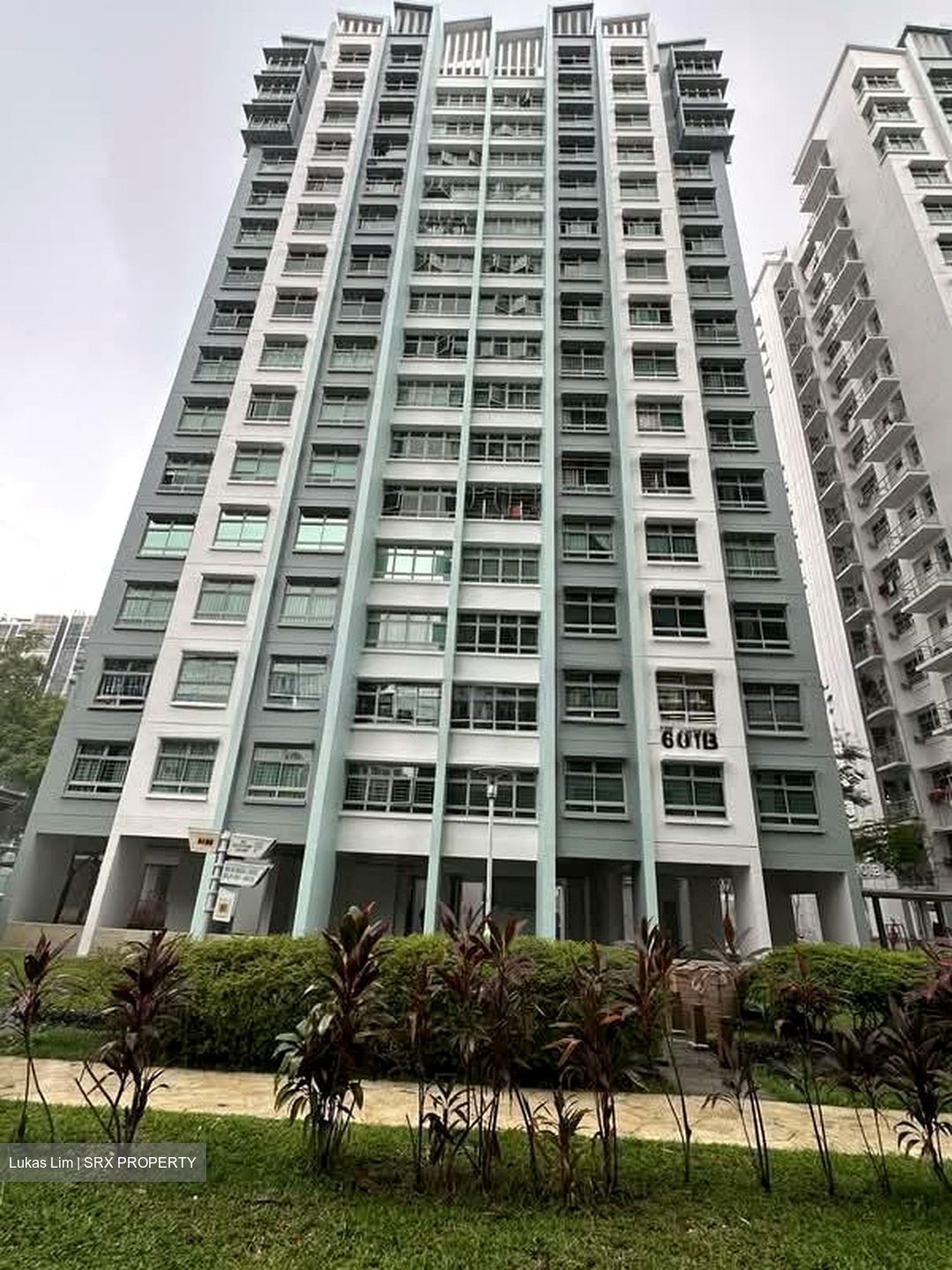 Blk 601B Punggol Vista (Punggol), HDB 2 Rooms #557816391